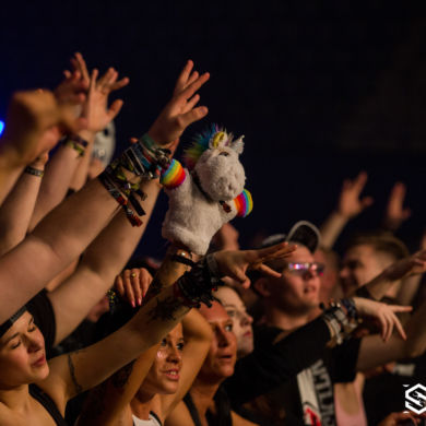 Snakepit 2018 – Kingdom of Cobra