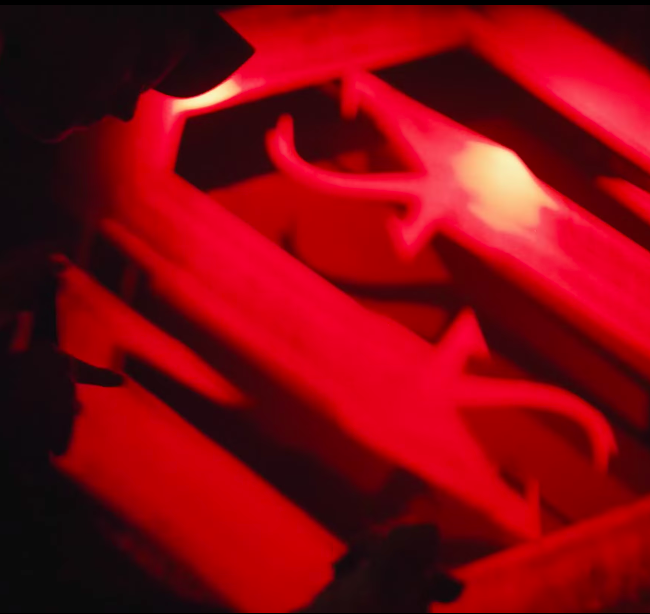 Snakepit 2017 | Trailer