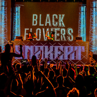 Snakepit 2016 – The need for speed