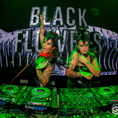 Snakepit 2016 – The need for speed