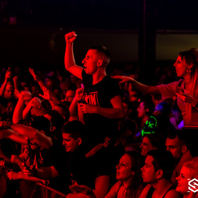 Snakepit 2016 – The need for speed