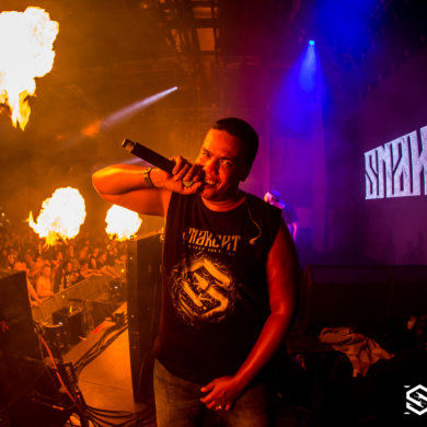 Snakepit 2016 – The need for speed