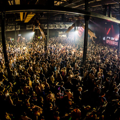 Snakepit 2016 – The need for speed