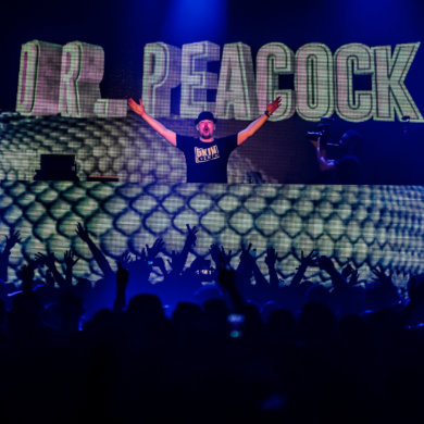 Snakepit 2016 – The need for speed