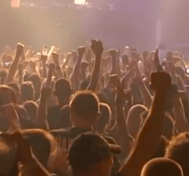 SYNDICATE 2008 REVIEW