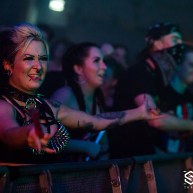 Snakepit 2018 – The Need For Speed