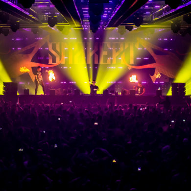 Snakepit 2018 – The Need For Speed