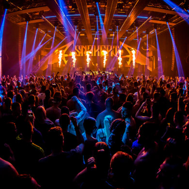 Snakepit 2018 – The Need For Speed