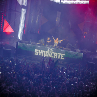 SYNDICATE 2019