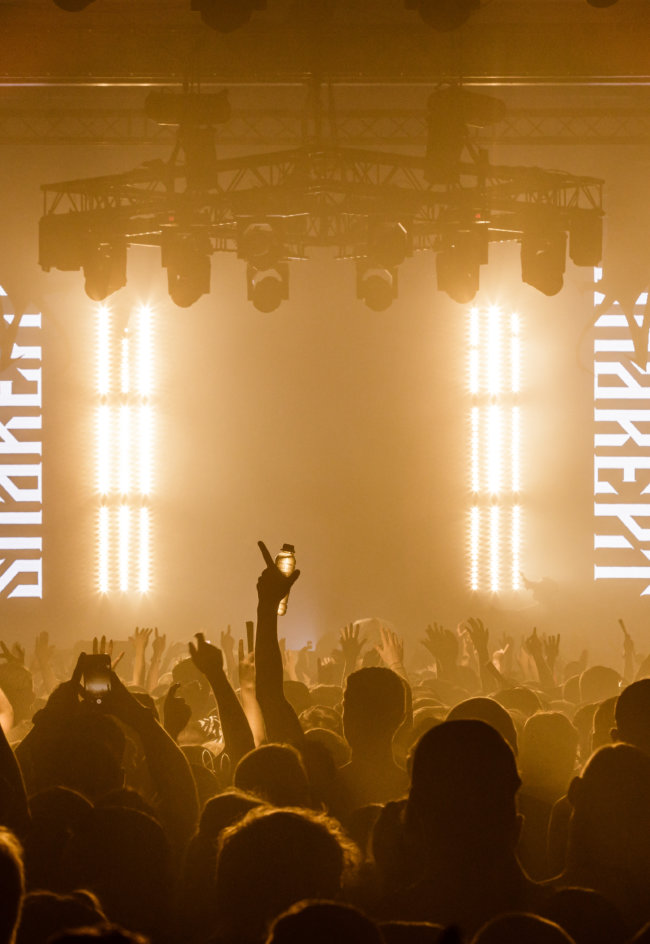 Pre-order the Snakepit 2022 Compilation album!