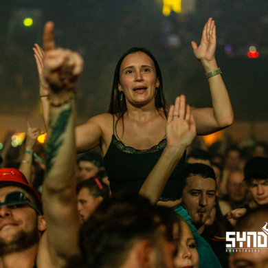 SYNDICATE – 2022