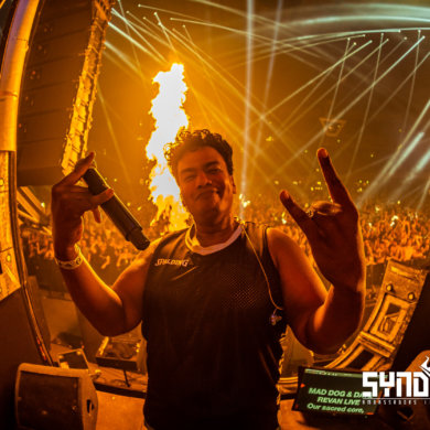 SYNDICATE – 2022