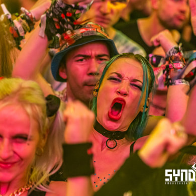SYNDICATE – 2022