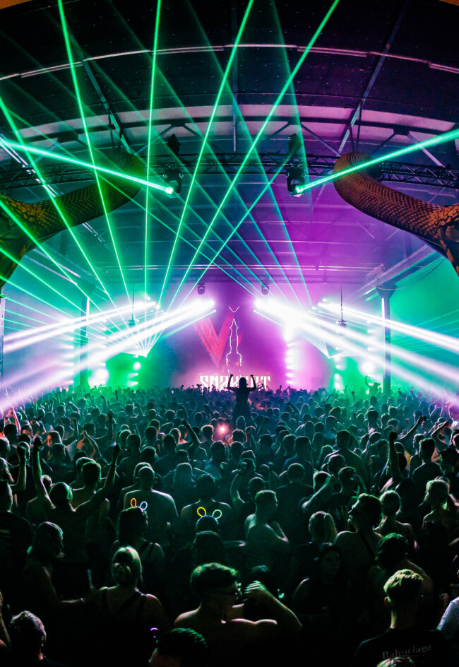 Snakepit 2024 Art of Dance