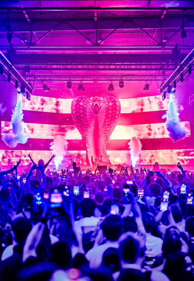 10 Years of Snakepit