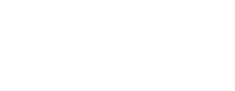SYNDICATE 2027 – 20 Years SYNDICATE